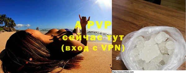гашик Аркадак