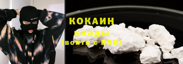 гашик Аркадак