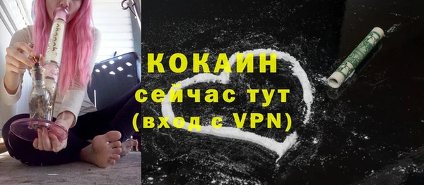 гашик Аркадак