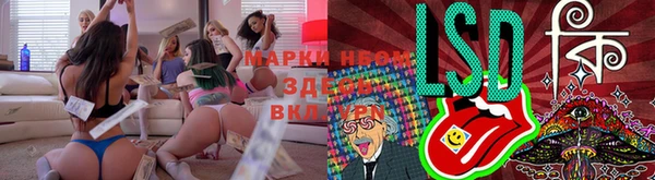 гашик Аркадак