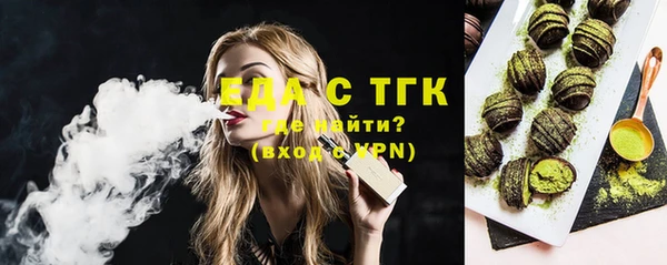 гашик Аркадак