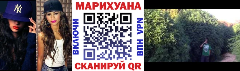 Конопля MAZAR  где купить   Иннополис 